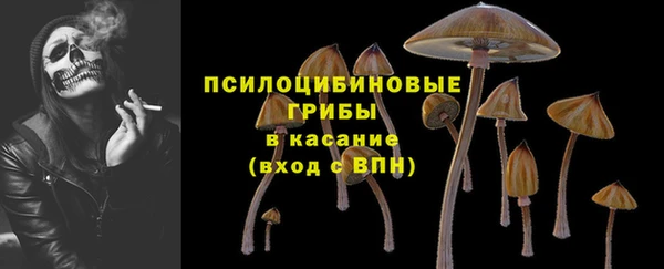 MESCALINE Богородицк